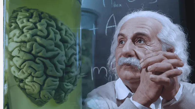 neuro-energizer--programs